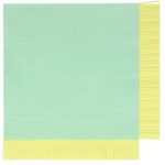 20 Tovaglioli Colori Misti con Frange