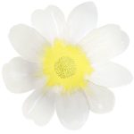 8 Piatti Fiori Colori Misti