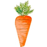 16 Tovaglioli Carota