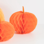 10 Zucche a Nido D'Ape