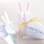 6 Conigli a Nido d'Ape