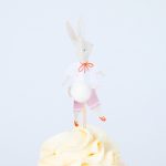 Cupcakes Kit Animal Friends