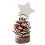 6 Segnaposto Pigna con Stella