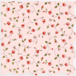 16 Tovaglioli Laduree Paris Marie Antoinette