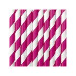 10 Cannucce Fuxia e Bianche a Righe in Carta