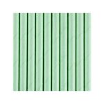 10 Cannucce Verde Menta in Carta