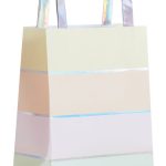 5 Party Bags Iridescenti e Pastello