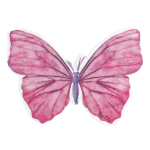 16 Tovaglioli Farfalla Colori Misti